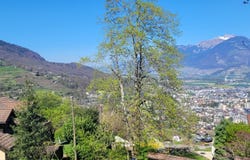 Choëx, Monthey, Valais 1871