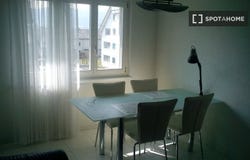 zurich, Zürich (canton) 8107