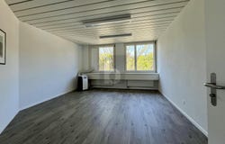 Auf Anfrage, Adliswil, Zürich (canton) 8134