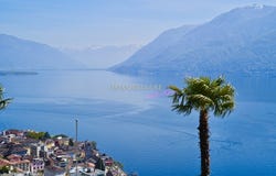 Brissago, Ticino 6614