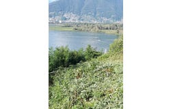 Gambarogno, Ticino 6573