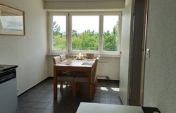 Schwerzenbach, Zürich (canton) 8603
