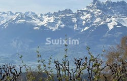 Aigle, Vaud 1860