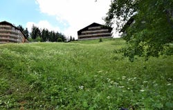 Centre, Veysonnaz, Valais 1993