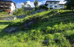 Cugnasco, Ticino 6516