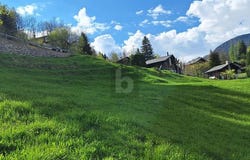 Dalpe, Ticino 6774