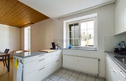 Rheineck, St. Gallen (canton) 9424