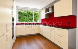 Muttenz, Basel-Landschaft (canton) 4132