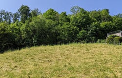 Bergmattenweg, Pfeffingen, Basel-Landschaft (canton) 4148