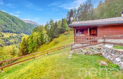 Haute-Nendaz, Haute-Nendaz, Valais 1997