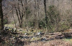 Avegno, Ticino 6670