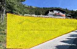 Savièse, Valais 1965