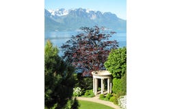 Vaud, Montreux, Vaud 1820