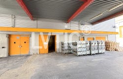 Renens VD, Vaud 1020