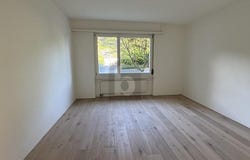 Dürnten, Zürich (canton) 8635