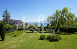 Mies, Vaud 1295