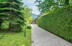 Quartier calme, St-Légier-La Chiésaz, Vaud 1806