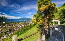 - Gordola Collina -, Gordola, Ticino 6596