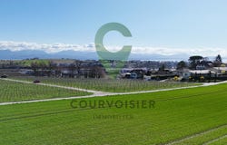 Lonay, Vaud 1027