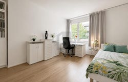 Basel, Basel-Stadt (canton) 4052