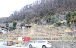 Sementina, Ticino 6514
