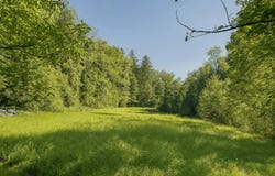 Bussnang, Thurgau 9517