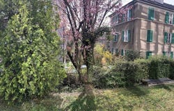 Lausanne, Vaud 1005