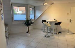 Volketswil, Zürich (canton) 8604