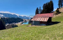 Breil/Brigels, Grisons 7165