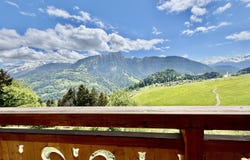 quartier résidentiel, Leysin, Vaud 1854