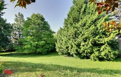 Budron - Longeraie, Le Mont-sur-Lausanne, Vaud 1052