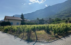 Saxon, Valais 1907
