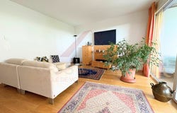 Le Mont-sur-Lausanne, Vaud 1052
