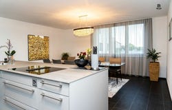 Schaffhausen, Schaffhausen (canton) 8207