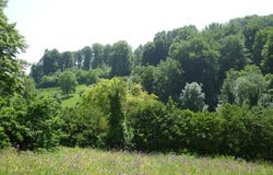 Romainmôtier, Vaud 1323