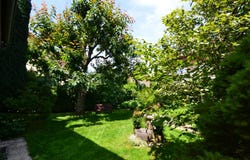 Renens VD, Vaud 1020
