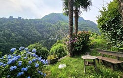 Gordola, Ticino 6596