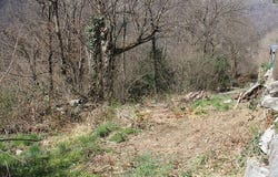 Avegno, Ticino 6670
