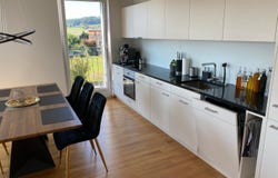 Hedingen, Zürich (canton) 8908