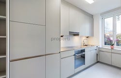 Olten, Solothurn (canton) 4600