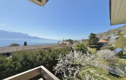 Ch. des Cornalles, Vevey, Vaud 1800