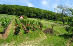 Mönthal, Aargau 5237