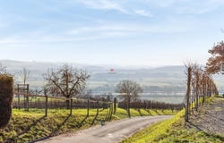 Iselisberg 19, Uesslingen, Thurgau 8524