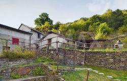 Cadenazzo, Ticino 6599