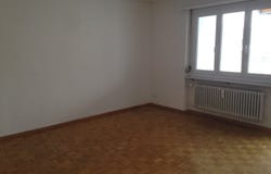 Wilerzelgstrasse 11, Wohlen AG, Aargau 5610
