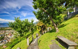 - Gordola Collina -, Gordola, Ticino 6596