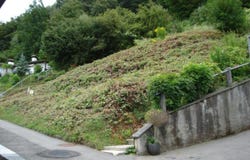 Gerra, Gerra (Gambarogno), Ticino 6576