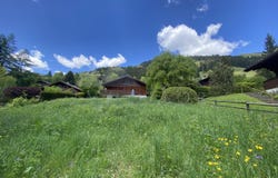 Centre du village de Rougemont, Rougemont, Vaud 1659