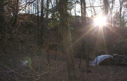 Via Collina, Riazzino, Ticino 6595