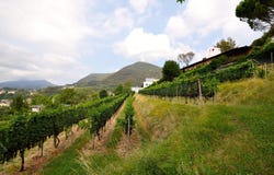 Morbio Superiore, Morbio Superiore, Ticino 6835